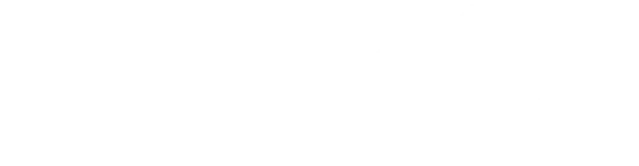 Logo HGS branco em fundo transparente